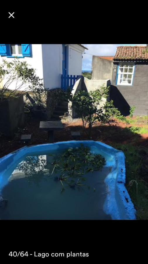 Adega Guest House Horta  Exterior photo